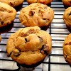 Peanut Butter Banana Chocolate Chip Muffins Peanut Butter Banana Chocolate Chip Muffins