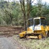 My Date With a Bulldozer