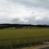 Yes…I’m Still in Oregon