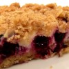 Blueberry Streusel Bars with Lemon-Cream Filling