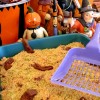 Kitty Litter Cake
