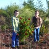 Happy Holidays