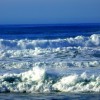 Going Coastal
