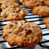 Chocolate Chip Overload Cookies