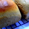 Honey Whole Wheat Bread