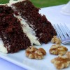 Chocolate Zucchini Cake Chocolate Zucchini Cake