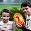 Happy Thanksgiving Happy Thanksgiving