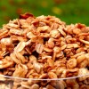 Homemade Nutty Vanilla Granola