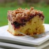 New York-Style Crumb Cake