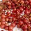 Roasted Grapes Roasted Grapes